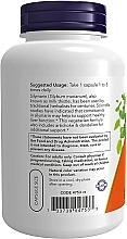 Силимарин, экстракт расторопши пятнистой - Now Foods Double Strength Silymarin Milk Thistle Extract — фото N8