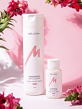 Шампунь для глибокого очищення - Meloni Deep Cleansing Shampoo pH8.1 — фото N2