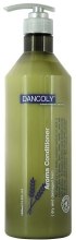 Парфумерія, косметика Арома кондиціонер для волосся - Dancoly Aroma Conditioner Dry And Damaged Hair 