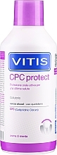 Ополіскувач для ротової порожнини з цетилпіридинію хлоридом 0,07% - Dentaid Vitis Cpc Protect Mouthwash — фото N1