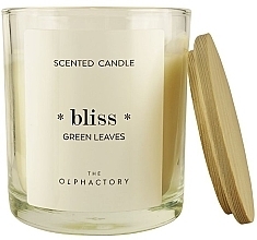 Ароматична свічка - Ambientair The Olphactory Bliss Green Leaves Candle — фото N1