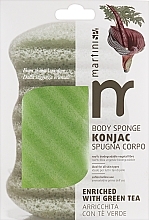 Спонж конняку для тіла, зелений - Martini SPA Konjac Body Sponge — фото N2