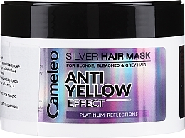 Маска для волос - Delia Cameleo Silver Mask — фото N1