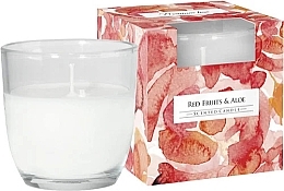 Ароматична свічка у склянці "Червоні фрукти та алое" - Bispol Scented Candle Red Fruits & Aloe — фото N1