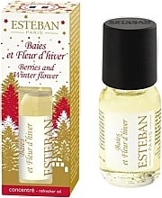 Esteban Berries And Winter Flower - Парфумована олія — фото N1