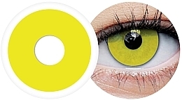 Одноденні кольорові контактні лінзи "Zombie Yellow", 2 шт - Clearlab ClearColor 1-Day Phantom — фото N2