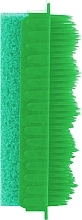 Парфумерія, косметика Пемза кольорова зі щіткою, зелена - Zinger