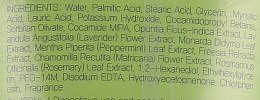 Esfolio Green Cactus Fresh Foam Cleanser Penka Dlya Umyvaniya S Ekstraktom Zelenogo Kaktusa Kupit Po Luchshej Cene V Ukraine Makeup Ua