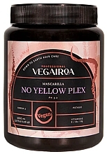 Маска для светлых волос - Vegairoa No Yellow Plex Mask — фото N2