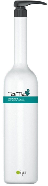 Органический дезинфицирующий шампунь против перхоти с маслом чайного дерева - O'right Tea Tree Shampoo — фото N2