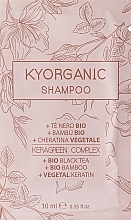 ПОДАРОК! Органический шампунь для ежедневного ухода - Kyo Kyorganic Shampoo — фото N1