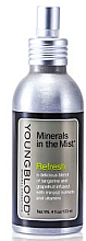 Минеральный освежающий спрей для лица - Youngblood Minerals In The Mist Refresh  — фото N1