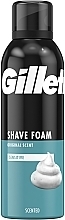 Пена для бритья - Gillette Foam Sensitive Skin — фото N2