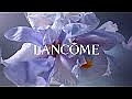 Lancome La Vie Est Belle Iris Absolu - Парфумована вода — фото N1