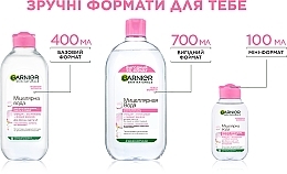 УЦЕНКА Мицеллярная вода для всех типов кожи - Garnier Skin Naturals * — фото N7