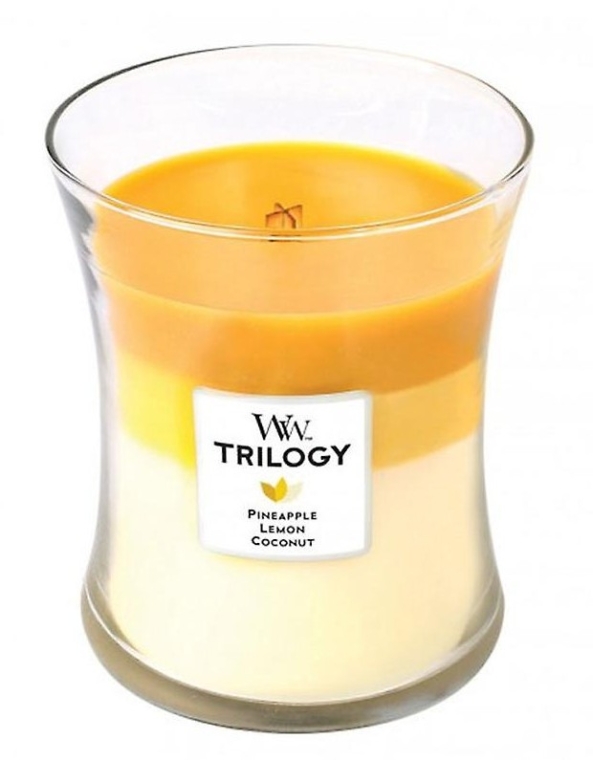Ароматична свічка в склянці - WoodWick Hourglass Trilogy Candle Fruits of Summer — фото N2
