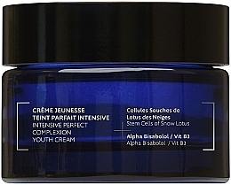 Интенсивный крем для совершенной кожи - Dr. Renaud Intensive Perfect Complection Cream — фото N1