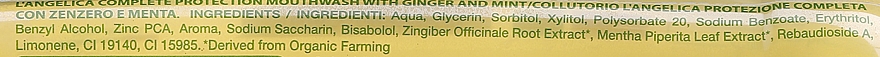 Ополіскувач для порожнини рота "Імбір та м'ята"  - L'Angelica Herbal Mouthwash Complete Protection Ginger & Mint — фото N3