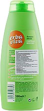 Шампунь для сухих волос с экстрактом овса и протеинами пшеницы - Erba Viva Hair Shampoo — фото N2
