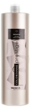 Шампунь для тривалого збереження кольору - Brelil Colorianne Prestige Shampoo Colour Long Lasting — фото N1