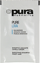 Духи, Парфюмерия, косметика Шампунь для разглаживания волос - Pura Kosmetica Pure Lixa Shampoo (мини)