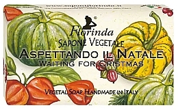 Мыло туалетное "Waiting For Cristmas" - Florinda Sapone Vegetale Waiting For Cristmas — фото N1