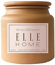 Духи, Парфюмерия, косметика Ароматическая свеча - Elle Home Almond Blossom Scented Candle