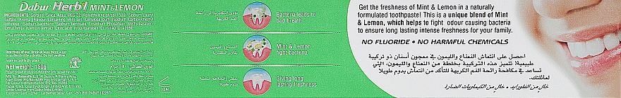 Набор "Mint & Lemon", красный - Dabur Herb`l (toothbrush/1шт + toothpaste/150g) — фото N3