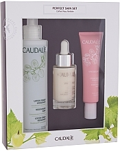 Духи, Парфюмерия, косметика Набор - Caudalie Perfect Skin Set (f/ser/30ml + f/ton/200ml + f/cr/40ml)