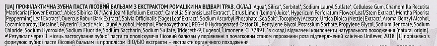 Профілактична зубна паста, з екстрактом ромашки і маслом обліпихи - Лісовий Бальзам — фото N3