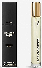 N.C.P. Olfactives Gold Edition 704 Incense & Musk - Парфумована вода (міні) — фото N2