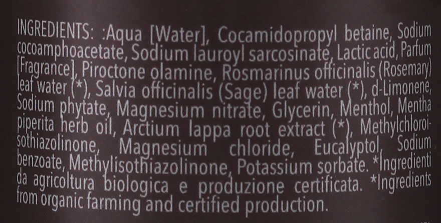 Шампунь, який регулює секрецію шкірного сала - BioMAN Caleb Sebum Regulating Shampoo (з помпою) — фото N3