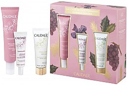 Духи, Парфюмерия, косметика Набор - Caudalie Vinosource Sorbet Hydration Favorites (f/cr/40ml + f/ser/10ml + f/mask/15ml)