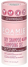 Сухий шампунь для всіх типів волосся - Foamie Berry Fresh Dry Shampoo — фото N1