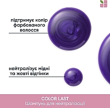 Шампунь для нейтрализации медных и желтых оттенков окрашеных волос - Biolage ColorLast Purple Shampoo — фото N4