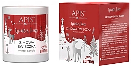 Духи, Парфюмерия, косметика Натуральная соевая свеча - APIS Professional Winter Time Natural Soy Candle