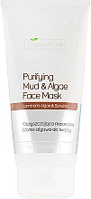 Парфумерія, косметика Очищувальна маска з глиною та водоростями для обличчя - Bielenda Professional Purifying Mud and Algae Face Mask