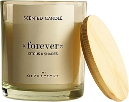 Духи, Парфюмерия, косметика Ароматическая свеча - Ambientair The Olphactory Forever Citrus & Shades Scented Candle