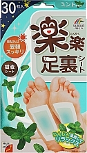 Расслабляющий пластырь для ног с ароматом мяты, 30 шт - Unimat Riken Mint Relaxing Sheet For Sole — фото N1