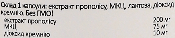 Пищевая добавка "Прополис адсорбированный" - Apitamax Therapy — фото N3