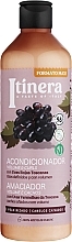 Парфумерія, косметика Кондиціонер для кучерів і блиску з червоним тосканським виноградом - Itinera Tuscan Red Grapes Conditioner