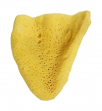 Мочалка для душа "Elephant Ear", 12.7 см - Hydrea London The Natural Sea Sponge Large — фото N1