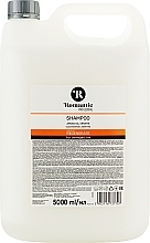 Шампунь для пошкодженого волосся - Romantic Professional Helps to Regenerate Shampoo — фото N3