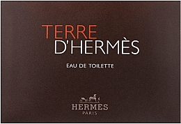 Парфумерія, косметика Hermes Terre d'Hermes - Ароматизатор