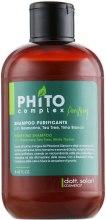 Парфумерія, косметика Очищувальний шампунь - Dott.Solari Phito Complex Purifying Shampoo