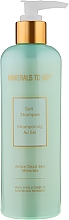 Парфумерія, косметика Шампунь з сіллю Мертвого моря - Premier Minerals To Go Salt Shampoo