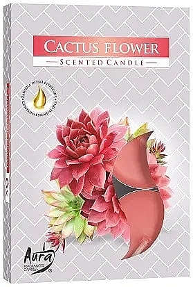 Набір чайних свічок "Квітка кактуса" - Bispol Cactus Flower Scented Candles — фото N1