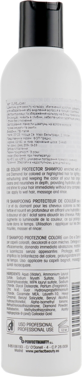 Шампунь для защиты цвета - Design Look Pro-Colour Color Care Shampoo — фото N2