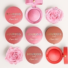 Румяна - Bourjois Little Round Pot Blusher — фото N11