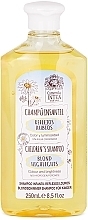Детский шампунь для светлых волос с экстрактом ромашки - Intea Camomile Blond Highlights Children's Shampoo — фото N1